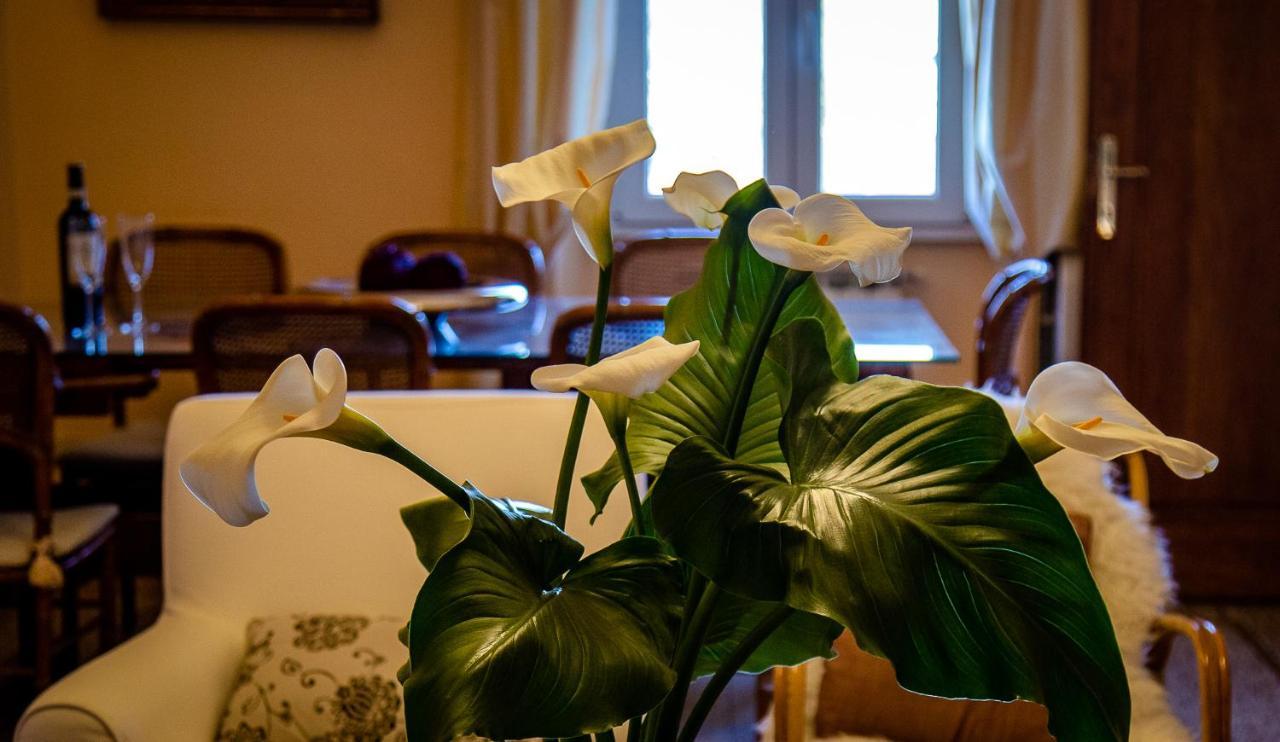Il Palagetto B&B Firenze Eksteriør bilde